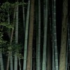 竹叢本丸【 壁打ち 】