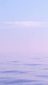 114-1高一國一衛生股長