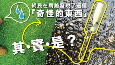 網民在馬路發現了這個「奇怪的東西」 其實是？