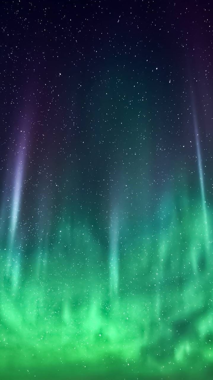 ss43期生