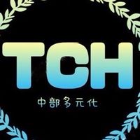TCH多元化叫車