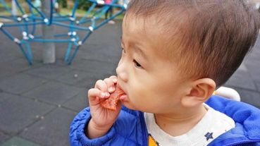 【宅配禮盒】新東陽肉乾-多汁不乾澀口感不乾柴的美味肉乾，評價好必吃值得推薦的伴手禮美食