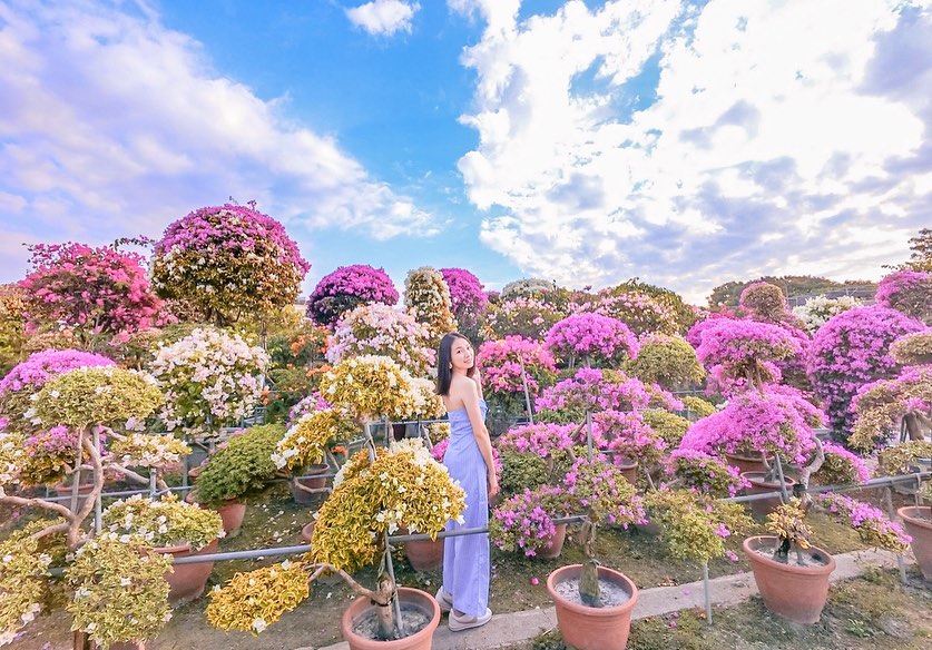 輝豐園藝 @0youngan011