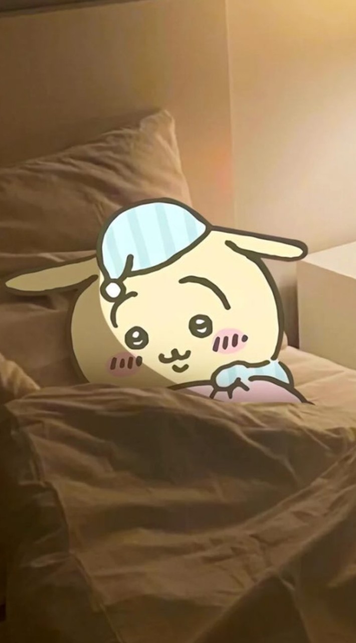 貓貓貓倉
