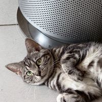 1晴☼腦波弱
