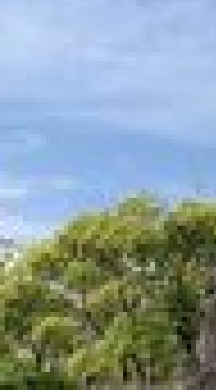 核についての議論オープンチャット