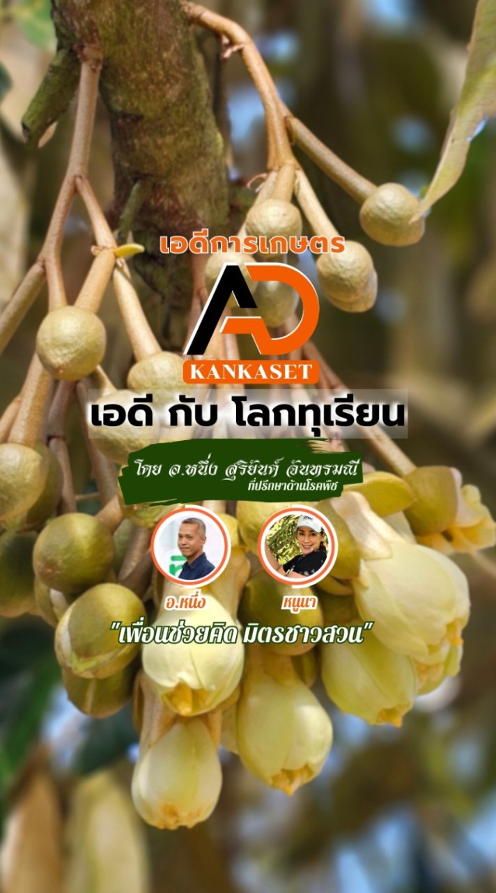 ADกับโลกทุเรียน โดย อ.หนึ่ง สุริยันต์ จันทรมณี
