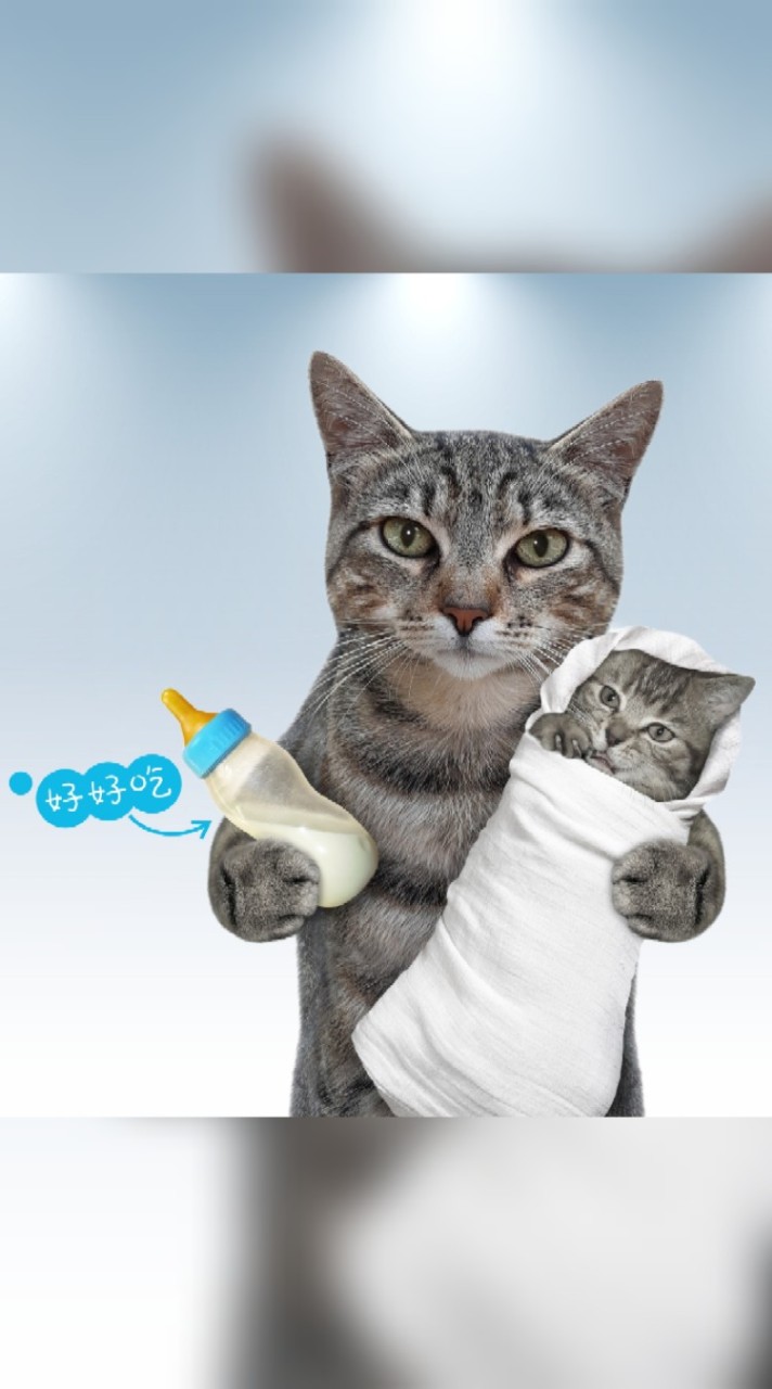 😺•寵小就來•🐈‍⬛狗貓主食罐頭零食飼料貓砂寵物用品團購社😽🐈🐶🐹🐇🐕‍🦺官方直營🐾