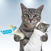😺•寵小就來•🐈‍⬛狗貓主食罐頭零食飼料貓砂寵物用品團購社😽🐈🐶🐹🐇🐕‍🦺官方直營🐾