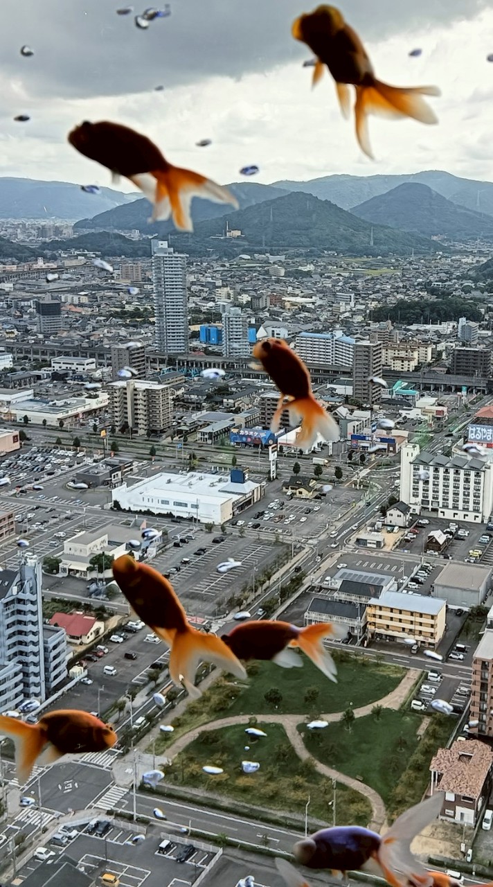お出かけサークル