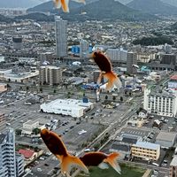 お出かけサークル
