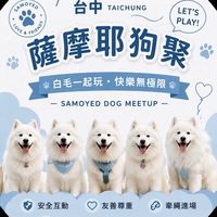 台中薩摩耶狗聚🐶☁️✨