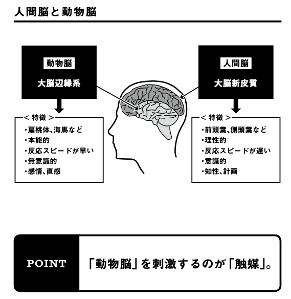人の頭の中に 意識 と 潜在意識 が存在する理由