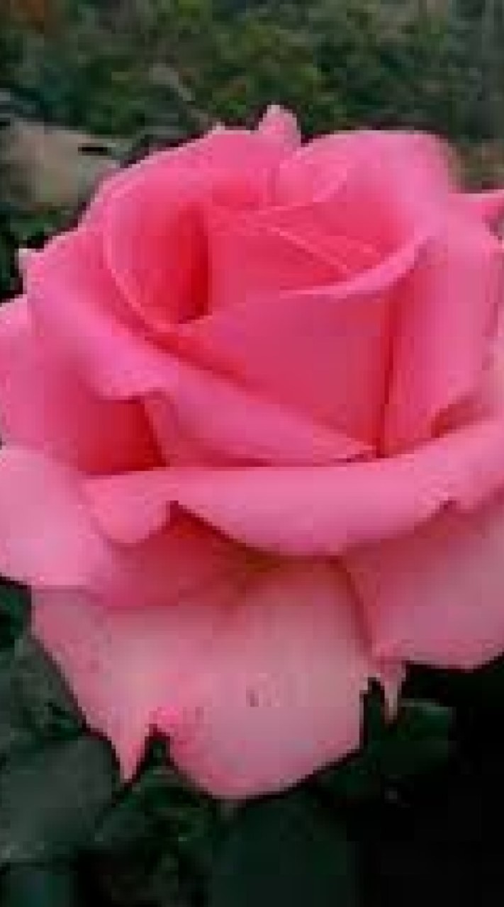 เครือข่ายเตรียมอุดมศึกษาฯ