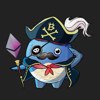 加密航海王