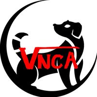 VNCA<discord>勉強会