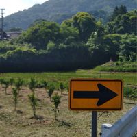創る　bioバル柑きつ亭