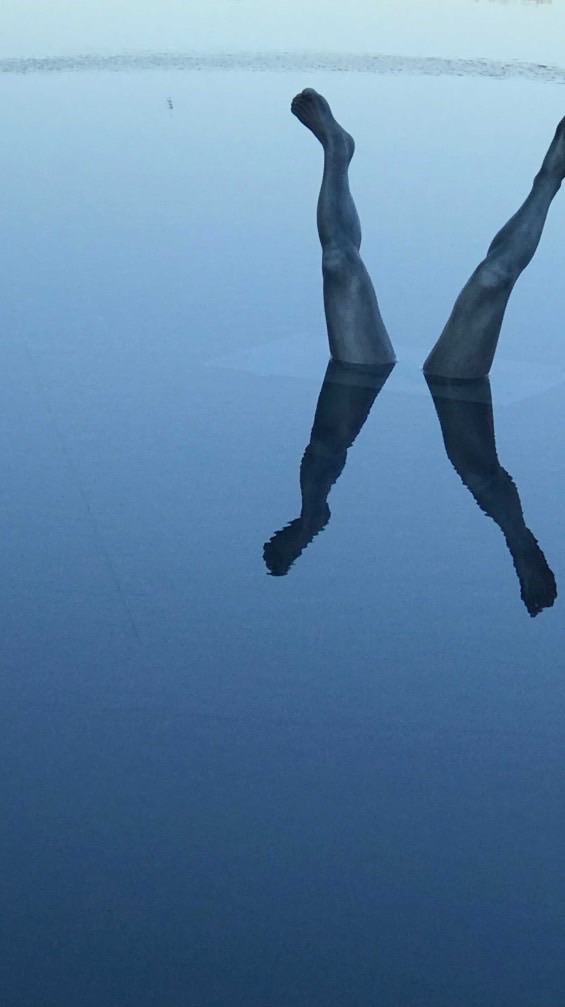 ハピフレ雑談室