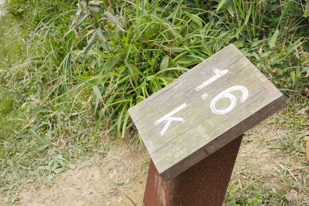 宜蘭.礁溪 臺灣的抹茶冰淇淋山，網美級小百岳仙境，挑戰聖母山莊步道，順收五峰旗瀑布