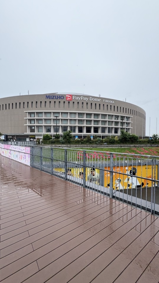 福岡軟銀鷹球迷小天地