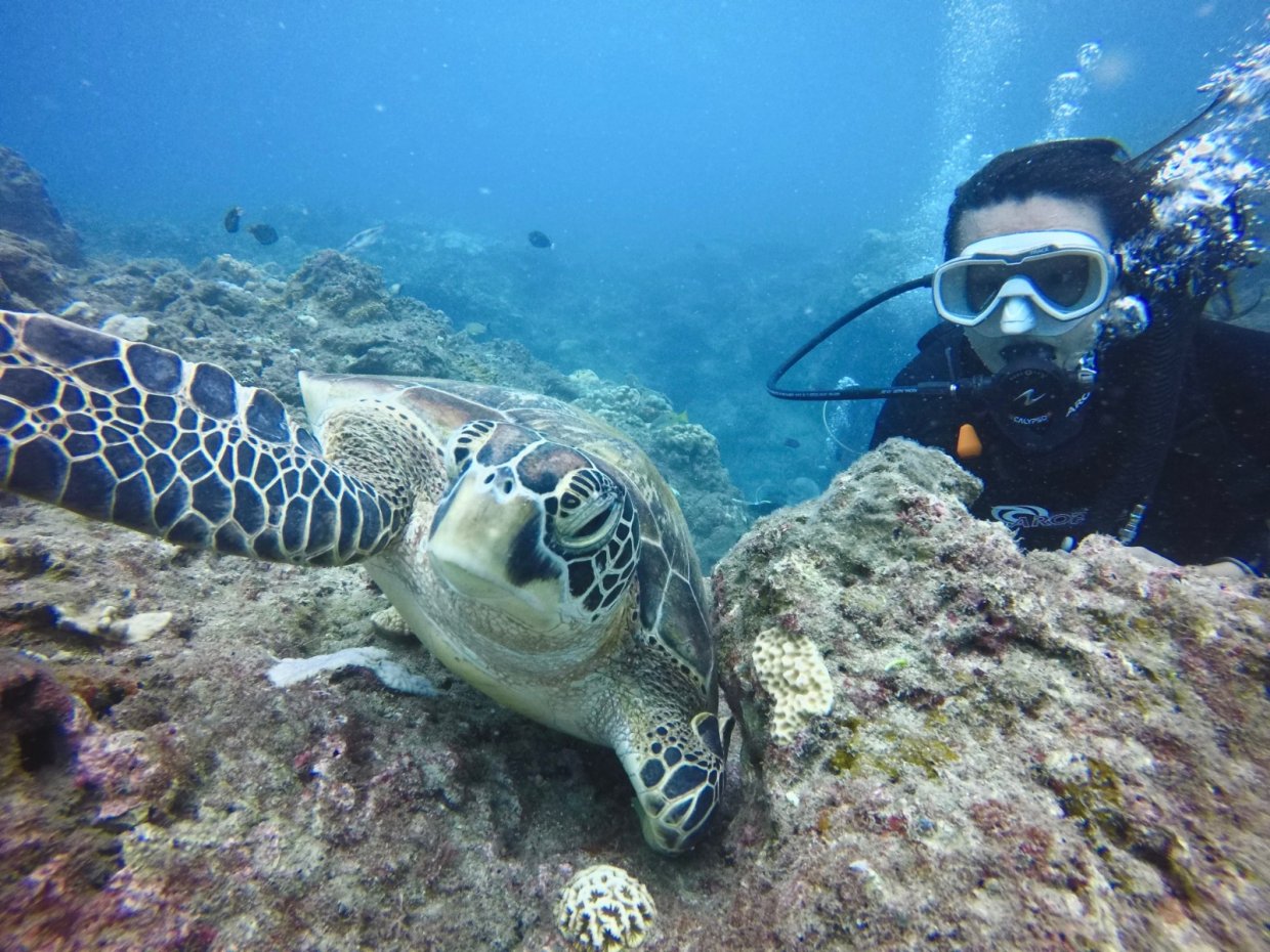 誰說冬天不能潛水？全台冬季也可以潛的潛點看這篇！