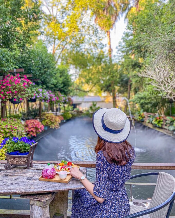 花露農場 苗栗卓蘭｜花露農場 ｜繡球花正盛開│全台首座精油博物館，沉浸在四季繽紛花海 享受午茶時光 3 2023