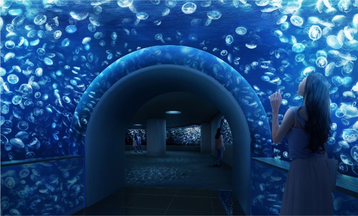 東京池袋陽光水族館再添夢幻新區 海月空感 療癒水母大放送 Line購物