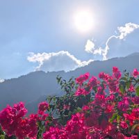 114-12-10武界雲海民宿
