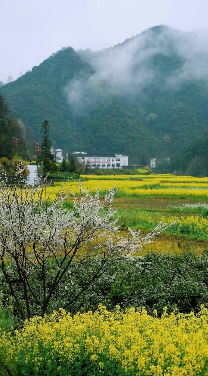 農村生活資訊