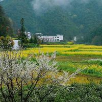 農村生活資訊