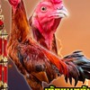 พงษ์สิทธิ์ไก่ชนบุรีรัมย์