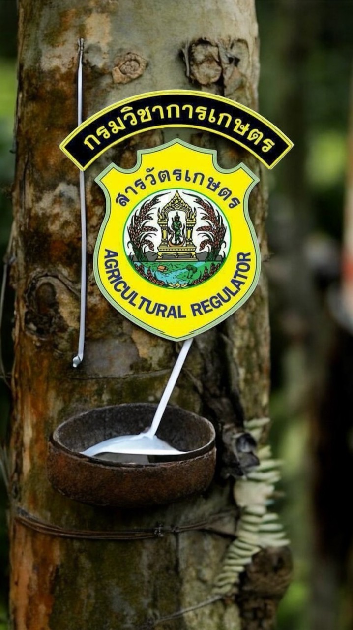 ผู้ประกอบการร้านค้ายาง