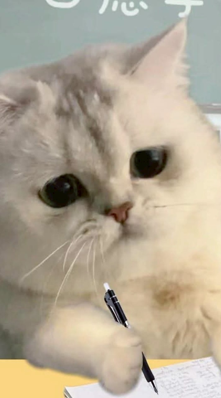 嘻嘻不嘻嘻