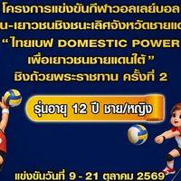 ไทยเบฟ DOMESTIC POWER (รุ่นอายุ 12 ปี)