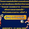 ไทยเบฟ DOMESTIC POWER (รุ่นอายุ 12 ปี)