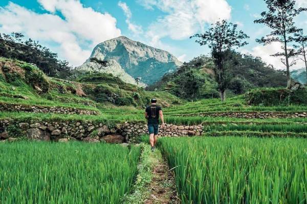 Masih Asri Ini 9 Pesona Destinasi Desa Wisata Tempur Di Jepara