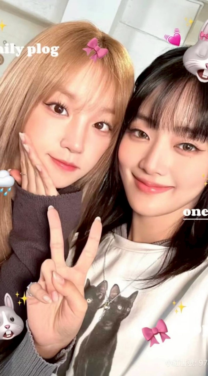 琦和妮の發瘋區！⁺𐙚琦琦ʕ •ᴥ•ʔ~♪&✧粉妮(⁠◕⁠ᴗ⁠◕⁠✿⁠)✧der合作群~