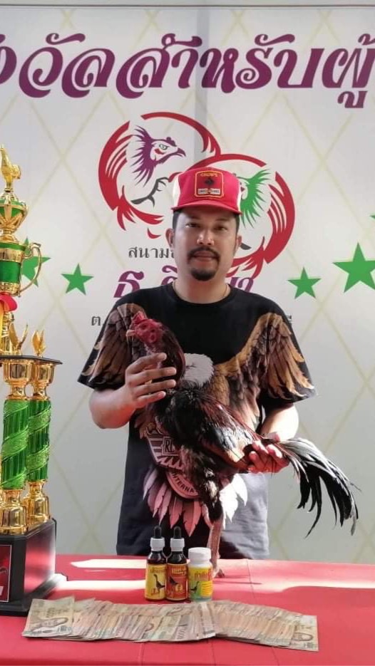 ส.วาสนา ไก่ชน สายตีเมืองเพชรบุรี