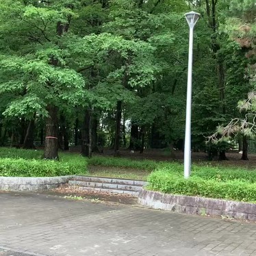 研究学園駅前公園のundefinedに実際訪問訪問したユーザーunknownさんが新しく投稿した新着口コミの写真