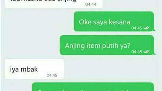 Unduh 77 Koleksi Gambar Gambar Cerita Lucu Terbaru Gratis HD