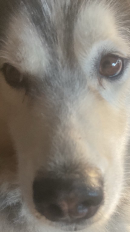 แชททเล่นคับนุด