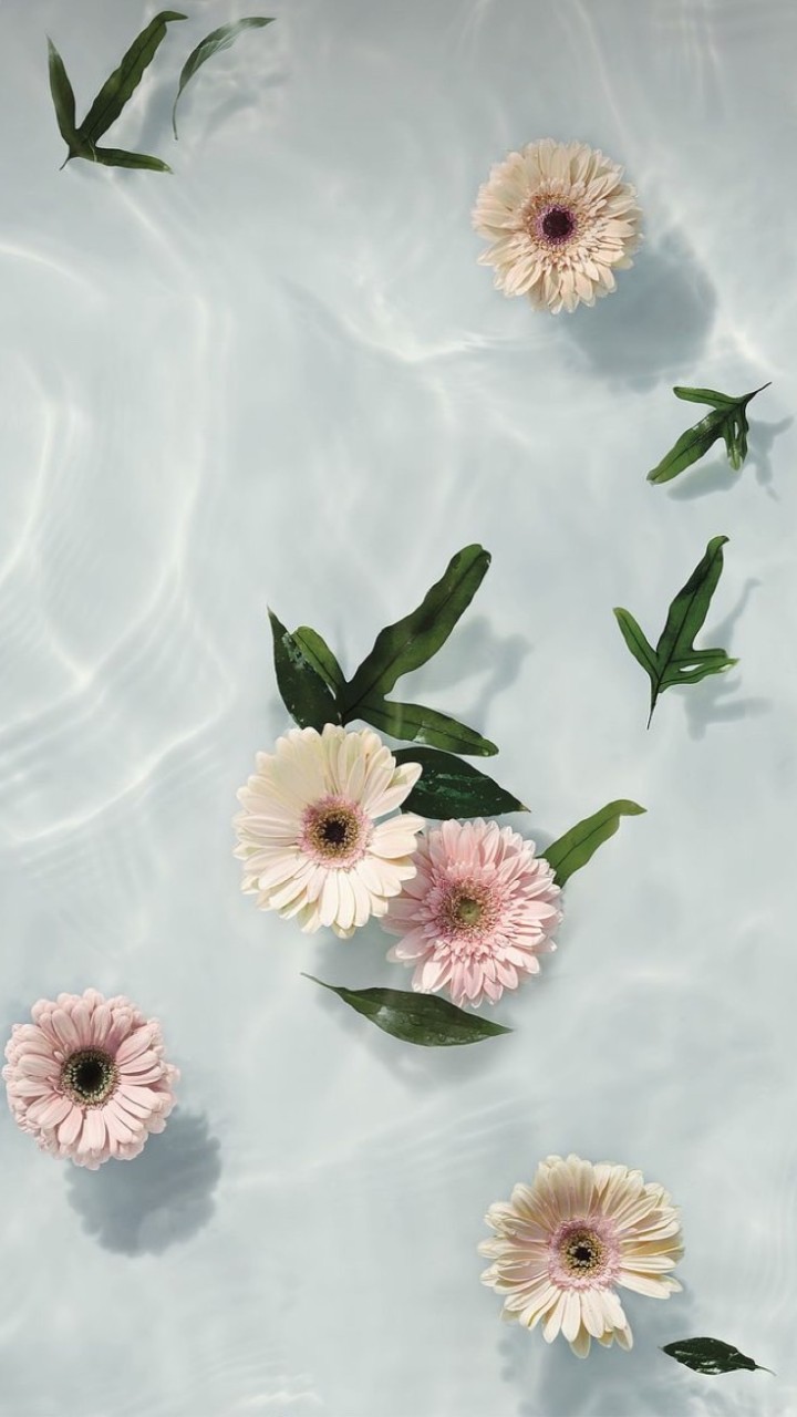 茉默台北花店｜Jasmine Florist