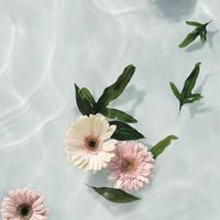 茉默台北花店｜Jasmine Florist