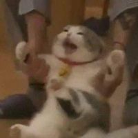 ไร้สมองเเละประโยชน์ไม่มี..