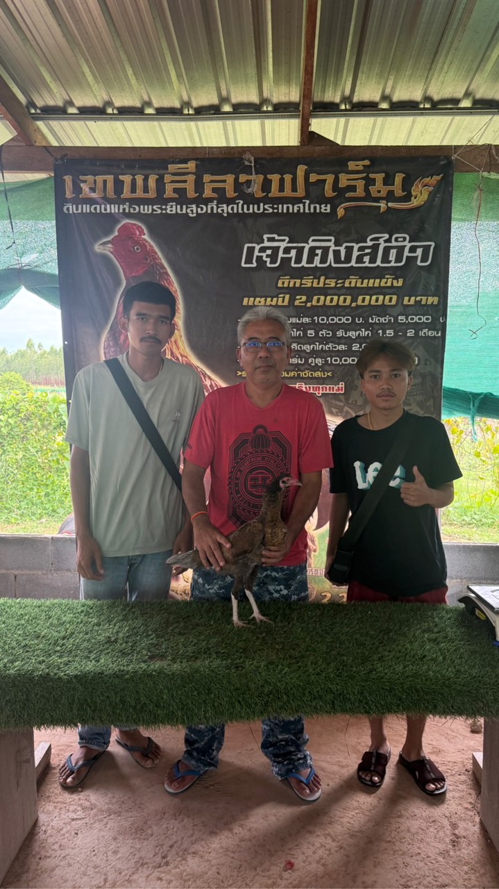 นครเหล่า88 ฟาร์ม