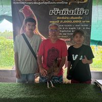 นครเหล่า88 ฟาร์ม