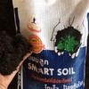 ดินปลูก มทส และ SUT SMART SOIL