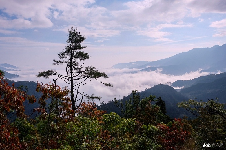 山女孩Melissa_羅馬縱走_羅葉尾山_馬武佐野郡山0746.JPG