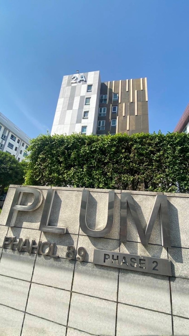 Plum89Phase2family line