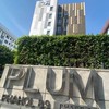 Plum89Phase2family line